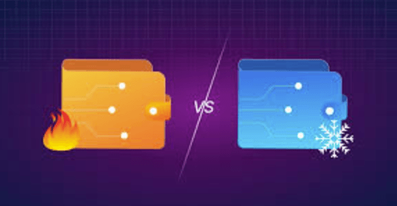 Hot Wallet vs Cold Wallet: Key Differences