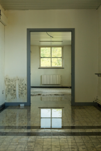 Emergency Water Removal: Why Every Minute Matters After Water Damage